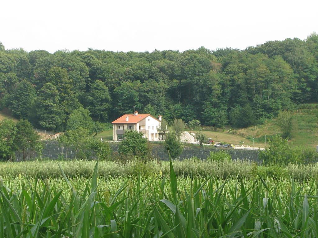 Agriturismo Casamela Paderno del Grappa Luaran gambar
